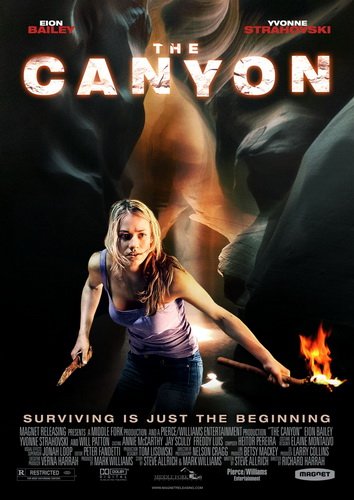 Каньон (2009) DVDRip смотреть онлайн