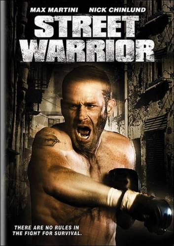 Уличный воин (2008) DVDRip онлайн